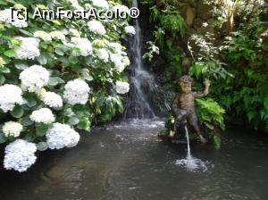 [P60] grădina japoneză » foto by robert
 - 
<span class="allrVoted glyphicon glyphicon-heart hidden" id="av995865"></span>
<a class="m-l-10 hidden" id="sv995865" onclick="voting_Foto_DelVot(,995865,4289)" role="button">șterge vot <span class="glyphicon glyphicon-remove"></span></a>
<a id="v9995865" class=" c-red"  onclick="voting_Foto_SetVot(995865)" role="button"><span class="glyphicon glyphicon-heart-empty"></span> <b>LIKE</b> = Votează poza</a> <img class="hidden"  id="f995865W9" src="/imagini/loader.gif" border="0" /><span class="AjErrMes hidden" id="e995865ErM"></span>