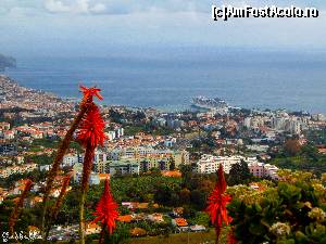 [P29] Miradouro Pico Dos Barcelos » foto by GabrielaG
 - 
<span class="allrVoted glyphicon glyphicon-heart hidden" id="av588054"></span>
<a class="m-l-10 hidden" id="sv588054" onclick="voting_Foto_DelVot(,588054,4289)" role="button">șterge vot <span class="glyphicon glyphicon-remove"></span></a>
<a id="v9588054" class=" c-red"  onclick="voting_Foto_SetVot(588054)" role="button"><span class="glyphicon glyphicon-heart-empty"></span> <b>LIKE</b> = Votează poza</a> <img class="hidden"  id="f588054W9" src="/imagini/loader.gif" border="0" /><span class="AjErrMes hidden" id="e588054ErM"></span>