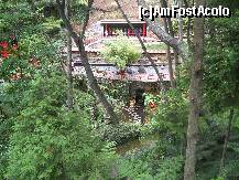 [P12] Jardim Tropical: Vedere spre gradina orientala de nord » foto by Delight
 - 
<span class="allrVoted glyphicon glyphicon-heart hidden" id="av257393"></span>
<a class="m-l-10 hidden" id="sv257393" onclick="voting_Foto_DelVot(,257393,4289)" role="button">șterge vot <span class="glyphicon glyphicon-remove"></span></a>
<a id="v9257393" class=" c-red"  onclick="voting_Foto_SetVot(257393)" role="button"><span class="glyphicon glyphicon-heart-empty"></span> <b>LIKE</b> = Votează poza</a> <img class="hidden"  id="f257393W9" src="/imagini/loader.gif" border="0" /><span class="AjErrMes hidden" id="e257393ErM"></span>