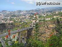 [P04] Funchalul vazut din gradina botanica - ce tuneluri! » foto by Delight
 - 
<span class="allrVoted glyphicon glyphicon-heart hidden" id="av257378"></span>
<a class="m-l-10 hidden" id="sv257378" onclick="voting_Foto_DelVot(,257378,4289)" role="button">șterge vot <span class="glyphicon glyphicon-remove"></span></a>
<a id="v9257378" class=" c-red"  onclick="voting_Foto_SetVot(257378)" role="button"><span class="glyphicon glyphicon-heart-empty"></span> <b>LIKE</b> = Votează poza</a> <img class="hidden"  id="f257378W9" src="/imagini/loader.gif" border="0" /><span class="AjErrMes hidden" id="e257378ErM"></span>