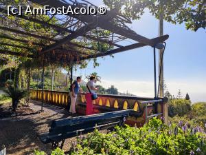 [P20] Grădina Botanică » foto by crismis
 - 
<span class="allrVoted glyphicon glyphicon-heart hidden" id="av1438858"></span>
<a class="m-l-10 hidden" id="sv1438858" onclick="voting_Foto_DelVot(,1438858,4289)" role="button">șterge vot <span class="glyphicon glyphicon-remove"></span></a>
<a id="v91438858" class=" c-red"  onclick="voting_Foto_SetVot(1438858)" role="button"><span class="glyphicon glyphicon-heart-empty"></span> <b>LIKE</b> = Votează poza</a> <img class="hidden"  id="f1438858W9" src="/imagini/loader.gif" border="0" /><span class="AjErrMes hidden" id="e1438858ErM"></span>