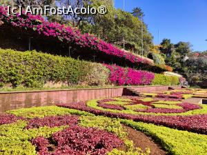 [P28] Grădina Botanică » foto by crismis
 - 
<span class="allrVoted glyphicon glyphicon-heart hidden" id="av1438866"></span>
<a class="m-l-10 hidden" id="sv1438866" onclick="voting_Foto_DelVot(,1438866,4289)" role="button">șterge vot <span class="glyphicon glyphicon-remove"></span></a>
<a id="v91438866" class=" c-red"  onclick="voting_Foto_SetVot(1438866)" role="button"><span class="glyphicon glyphicon-heart-empty"></span> <b>LIKE</b> = Votează poza</a> <img class="hidden"  id="f1438866W9" src="/imagini/loader.gif" border="0" /><span class="AjErrMes hidden" id="e1438866ErM"></span>