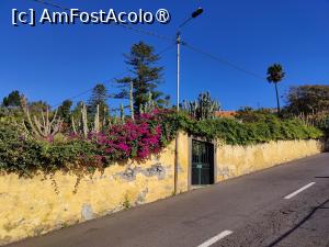 [P08] Urcând pe lângă zidul Grădinii Botanice » foto by crismis
 - 
<span class="allrVoted glyphicon glyphicon-heart hidden" id="av1438846"></span>
<a class="m-l-10 hidden" id="sv1438846" onclick="voting_Foto_DelVot(,1438846,4289)" role="button">șterge vot <span class="glyphicon glyphicon-remove"></span></a>
<a id="v91438846" class=" c-red"  onclick="voting_Foto_SetVot(1438846)" role="button"><span class="glyphicon glyphicon-heart-empty"></span> <b>LIKE</b> = Votează poza</a> <img class="hidden"  id="f1438846W9" src="/imagini/loader.gif" border="0" /><span class="AjErrMes hidden" id="e1438846ErM"></span>