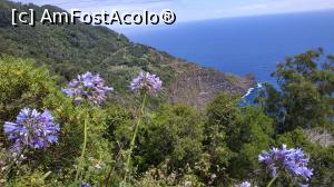 [P31] belvedere Faisal » foto by elenaadina
 - 
<span class="allrVoted glyphicon glyphicon-heart hidden" id="av1312476"></span>
<a class="m-l-10 hidden" id="sv1312476" onclick="voting_Foto_DelVot(,1312476,4289)" role="button">șterge vot <span class="glyphicon glyphicon-remove"></span></a>
<a id="v91312476" class=" c-red"  onclick="voting_Foto_SetVot(1312476)" role="button"><span class="glyphicon glyphicon-heart-empty"></span> <b>LIKE</b> = Votează poza</a> <img class="hidden"  id="f1312476W9" src="/imagini/loader.gif" border="0" /><span class="AjErrMes hidden" id="e1312476ErM"></span>