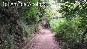 [P45] Ribeiro Frio , PR11 Levada dos Balc&otilde;es,traseu » foto by elenaadina
 - 
<span class="allrVoted glyphicon glyphicon-heart hidden" id="av1312511"></span>
<a class="m-l-10 hidden" id="sv1312511" onclick="voting_Foto_DelVot(,1312511,4289)" role="button">șterge vot <span class="glyphicon glyphicon-remove"></span></a>
<a id="v91312511" class=" c-red"  onclick="voting_Foto_SetVot(1312511)" role="button"><span class="glyphicon glyphicon-heart-empty"></span> <b>LIKE</b> = Votează poza</a> <img class="hidden"  id="f1312511W9" src="/imagini/loader.gif" border="0" /><span class="AjErrMes hidden" id="e1312511ErM"></span>