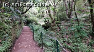 [P46] Ribeiro Frio , PR11 Levada dos Balc&otilde;es,traseu » foto by elenaadina
 - 
<span class="allrVoted glyphicon glyphicon-heart hidden" id="av1312517"></span>
<a class="m-l-10 hidden" id="sv1312517" onclick="voting_Foto_DelVot(,1312517,4289)" role="button">șterge vot <span class="glyphicon glyphicon-remove"></span></a>
<a id="v91312517" class=" c-red"  onclick="voting_Foto_SetVot(1312517)" role="button"><span class="glyphicon glyphicon-heart-empty"></span> <b>LIKE</b> = Votează poza</a> <img class="hidden"  id="f1312517W9" src="/imagini/loader.gif" border="0" /><span class="AjErrMes hidden" id="e1312517ErM"></span>