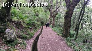 [P47] Ribeiro Frio , PR11 Levada dos Balc&otilde;es,traseu » foto by elenaadina
 - 
<span class="allrVoted glyphicon glyphicon-heart hidden" id="av1312518"></span>
<a class="m-l-10 hidden" id="sv1312518" onclick="voting_Foto_DelVot(,1312518,4289)" role="button">șterge vot <span class="glyphicon glyphicon-remove"></span></a>
<a id="v91312518" class=" c-red"  onclick="voting_Foto_SetVot(1312518)" role="button"><span class="glyphicon glyphicon-heart-empty"></span> <b>LIKE</b> = Votează poza</a> <img class="hidden"  id="f1312518W9" src="/imagini/loader.gif" border="0" /><span class="AjErrMes hidden" id="e1312518ErM"></span>