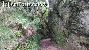 [P48] Ribeiro Frio , PR11 Levada dos Balc&otilde;es,traseu » foto by elenaadina
 - 
<span class="allrVoted glyphicon glyphicon-heart hidden" id="av1312519"></span>
<a class="m-l-10 hidden" id="sv1312519" onclick="voting_Foto_DelVot(,1312519,4289)" role="button">șterge vot <span class="glyphicon glyphicon-remove"></span></a>
<a id="v91312519" class=" c-red"  onclick="voting_Foto_SetVot(1312519)" role="button"><span class="glyphicon glyphicon-heart-empty"></span> <b>LIKE</b> = Votează poza</a> <img class="hidden"  id="f1312519W9" src="/imagini/loader.gif" border="0" /><span class="AjErrMes hidden" id="e1312519ErM"></span>