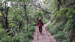 [P51] Ribeiro Frio , PR11 Levada dos Balc&otilde;es,traseu » foto by elenaadina
 - 
<span class="allrVoted glyphicon glyphicon-heart hidden" id="av1312527"></span>
<a class="m-l-10 hidden" id="sv1312527" onclick="voting_Foto_DelVot(,1312527,4289)" role="button">șterge vot <span class="glyphicon glyphicon-remove"></span></a>
<a id="v91312527" class=" c-red"  onclick="voting_Foto_SetVot(1312527)" role="button"><span class="glyphicon glyphicon-heart-empty"></span> <b>LIKE</b> = Votează poza</a> <img class="hidden"  id="f1312527W9" src="/imagini/loader.gif" border="0" /><span class="AjErrMes hidden" id="e1312527ErM"></span>