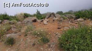 [P70] Pico do Arieiro » foto by elenaadina
 - 
<span class="allrVoted glyphicon glyphicon-heart hidden" id="av1312546"></span>
<a class="m-l-10 hidden" id="sv1312546" onclick="voting_Foto_DelVot(,1312546,4289)" role="button">șterge vot <span class="glyphicon glyphicon-remove"></span></a>
<a id="v91312546" class=" c-red"  onclick="voting_Foto_SetVot(1312546)" role="button"><span class="glyphicon glyphicon-heart-empty"></span> <b>LIKE</b> = Votează poza</a> <img class="hidden"  id="f1312546W9" src="/imagini/loader.gif" border="0" /><span class="AjErrMes hidden" id="e1312546ErM"></span>