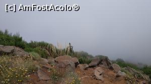 [P71] Pico do Arieiro » foto by elenaadina
 - 
<span class="allrVoted glyphicon glyphicon-heart hidden" id="av1312547"></span>
<a class="m-l-10 hidden" id="sv1312547" onclick="voting_Foto_DelVot(,1312547,4289)" role="button">șterge vot <span class="glyphicon glyphicon-remove"></span></a>
<a id="v91312547" class=" c-red"  onclick="voting_Foto_SetVot(1312547)" role="button"><span class="glyphicon glyphicon-heart-empty"></span> <b>LIKE</b> = Votează poza</a> <img class="hidden"  id="f1312547W9" src="/imagini/loader.gif" border="0" /><span class="AjErrMes hidden" id="e1312547ErM"></span>