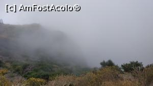 [P74] Pico do Arieiro » foto by elenaadina
 - 
<span class="allrVoted glyphicon glyphicon-heart hidden" id="av1312550"></span>
<a class="m-l-10 hidden" id="sv1312550" onclick="voting_Foto_DelVot(,1312550,4289)" role="button">șterge vot <span class="glyphicon glyphicon-remove"></span></a>
<a id="v91312550" class=" c-red"  onclick="voting_Foto_SetVot(1312550)" role="button"><span class="glyphicon glyphicon-heart-empty"></span> <b>LIKE</b> = Votează poza</a> <img class="hidden"  id="f1312550W9" src="/imagini/loader.gif" border="0" /><span class="AjErrMes hidden" id="e1312550ErM"></span>