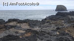 [P81]  -- <small>// FĂRĂ DESCRIERE</small> » foto by elenaadina
 - 
<span class="allrVoted glyphicon glyphicon-heart hidden" id="av1312598"></span>
<a class="m-l-10 hidden" id="sv1312598" onclick="voting_Foto_DelVot(,1312598,4289)" role="button">șterge vot <span class="glyphicon glyphicon-remove"></span></a>
<a id="v91312598" class=" c-red"  onclick="voting_Foto_SetVot(1312598)" role="button"><span class="glyphicon glyphicon-heart-empty"></span> <b>LIKE</b> = Votează poza</a> <img class="hidden"  id="f1312598W9" src="/imagini/loader.gif" border="0" /><span class="AjErrMes hidden" id="e1312598ErM"></span>