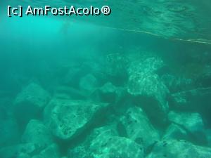 [P30] asa se vedea in ocean » foto by elenaadina
 - 
<span class="allrVoted glyphicon glyphicon-heart hidden" id="av1313761"></span>
<a class="m-l-10 hidden" id="sv1313761" onclick="voting_Foto_DelVot(,1313761,4289)" role="button">șterge vot <span class="glyphicon glyphicon-remove"></span></a>
<a id="v91313761" class=" c-red"  onclick="voting_Foto_SetVot(1313761)" role="button"><span class="glyphicon glyphicon-heart-empty"></span> <b>LIKE</b> = Votează poza</a> <img class="hidden"  id="f1313761W9" src="/imagini/loader.gif" border="0" /><span class="AjErrMes hidden" id="e1313761ErM"></span>