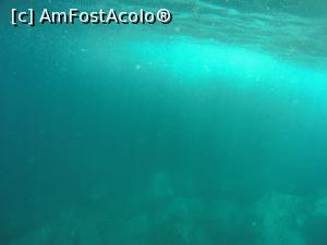 [P31] vedere subacvatica » foto by elenaadina
 - 
<span class="allrVoted glyphicon glyphicon-heart hidden" id="av1313762"></span>
<a class="m-l-10 hidden" id="sv1313762" onclick="voting_Foto_DelVot(,1313762,4289)" role="button">șterge vot <span class="glyphicon glyphicon-remove"></span></a>
<a id="v91313762" class=" c-red"  onclick="voting_Foto_SetVot(1313762)" role="button"><span class="glyphicon glyphicon-heart-empty"></span> <b>LIKE</b> = Votează poza</a> <img class="hidden"  id="f1313762W9" src="/imagini/loader.gif" border="0" /><span class="AjErrMes hidden" id="e1313762ErM"></span>