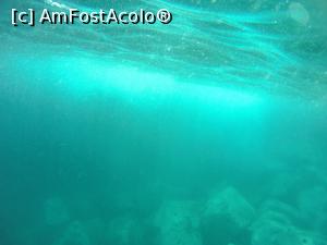 [P32] vedere subacvatica » foto by elenaadina
 - 
<span class="allrVoted glyphicon glyphicon-heart hidden" id="av1313763"></span>
<a class="m-l-10 hidden" id="sv1313763" onclick="voting_Foto_DelVot(,1313763,4289)" role="button">șterge vot <span class="glyphicon glyphicon-remove"></span></a>
<a id="v91313763" class=" c-red"  onclick="voting_Foto_SetVot(1313763)" role="button"><span class="glyphicon glyphicon-heart-empty"></span> <b>LIKE</b> = Votează poza</a> <img class="hidden"  id="f1313763W9" src="/imagini/loader.gif" border="0" /><span class="AjErrMes hidden" id="e1313763ErM"></span>