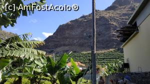 [P28] plantatie bananieri » foto by elenaadina
 - 
<span class="allrVoted glyphicon glyphicon-heart hidden" id="av1315148"></span>
<a class="m-l-10 hidden" id="sv1315148" onclick="voting_Foto_DelVot(,1315148,4289)" role="button">șterge vot <span class="glyphicon glyphicon-remove"></span></a>
<a id="v91315148" class=" c-red"  onclick="voting_Foto_SetVot(1315148)" role="button"><span class="glyphicon glyphicon-heart-empty"></span> <b>LIKE</b> = Votează poza</a> <img class="hidden"  id="f1315148W9" src="/imagini/loader.gif" border="0" /><span class="AjErrMes hidden" id="e1315148ErM"></span>