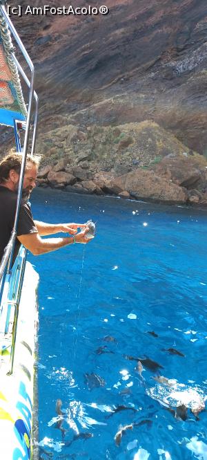 [P14] capitanul prinzand o dorada cu mainile » foto by elenaadina
 - 
<span class="allrVoted glyphicon glyphicon-heart hidden" id="av1325694"></span>
<a class="m-l-10 hidden" id="sv1325694" onclick="voting_Foto_DelVot(,1325694,4289)" role="button">șterge vot <span class="glyphicon glyphicon-remove"></span></a>
<a id="v91325694" class=" c-red"  onclick="voting_Foto_SetVot(1325694)" role="button"><span class="glyphicon glyphicon-heart-empty"></span> <b>LIKE</b> = Votează poza</a> <img class="hidden"  id="f1325694W9" src="/imagini/loader.gif" border="0" /><span class="AjErrMes hidden" id="e1325694ErM"></span>