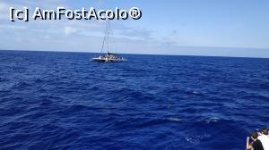 [P10] croaziera cu Sea Nature » foto by elenaadina
 - 
<span class="allrVoted glyphicon glyphicon-heart hidden" id="av1337770"></span>
<a class="m-l-10 hidden" id="sv1337770" onclick="voting_Foto_DelVot(,1337770,4289)" role="button">șterge vot <span class="glyphicon glyphicon-remove"></span></a>
<a id="v91337770" class=" c-red"  onclick="voting_Foto_SetVot(1337770)" role="button"><span class="glyphicon glyphicon-heart-empty"></span> <b>LIKE</b> = Votează poza</a> <img class="hidden"  id="f1337770W9" src="/imagini/loader.gif" border="0" /><span class="AjErrMes hidden" id="e1337770ErM"></span>