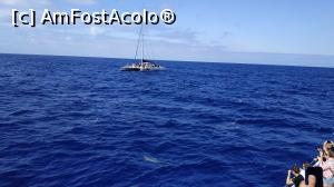 [P11] croaziera cu Sea Nature » foto by elenaadina
 - 
<span class="allrVoted glyphicon glyphicon-heart hidden" id="av1337771"></span>
<a class="m-l-10 hidden" id="sv1337771" onclick="voting_Foto_DelVot(,1337771,4289)" role="button">șterge vot <span class="glyphicon glyphicon-remove"></span></a>
<a id="v91337771" class=" c-red"  onclick="voting_Foto_SetVot(1337771)" role="button"><span class="glyphicon glyphicon-heart-empty"></span> <b>LIKE</b> = Votează poza</a> <img class="hidden"  id="f1337771W9" src="/imagini/loader.gif" border="0" /><span class="AjErrMes hidden" id="e1337771ErM"></span>