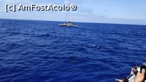 [P12] croaziera cu Sea Nature » foto by elenaadina
 - 
<span class="allrVoted glyphicon glyphicon-heart hidden" id="av1337772"></span>
<a class="m-l-10 hidden" id="sv1337772" onclick="voting_Foto_DelVot(,1337772,4289)" role="button">șterge vot <span class="glyphicon glyphicon-remove"></span></a>
<a id="v91337772" class=" c-red"  onclick="voting_Foto_SetVot(1337772)" role="button"><span class="glyphicon glyphicon-heart-empty"></span> <b>LIKE</b> = Votează poza</a> <img class="hidden"  id="f1337772W9" src="/imagini/loader.gif" border="0" /><span class="AjErrMes hidden" id="e1337772ErM"></span>