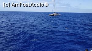 [P13] croaziera cu Sea Nature » foto by elenaadina
 - 
<span class="allrVoted glyphicon glyphicon-heart hidden" id="av1337773"></span>
<a class="m-l-10 hidden" id="sv1337773" onclick="voting_Foto_DelVot(,1337773,4289)" role="button">șterge vot <span class="glyphicon glyphicon-remove"></span></a>
<a id="v91337773" class=" c-red"  onclick="voting_Foto_SetVot(1337773)" role="button"><span class="glyphicon glyphicon-heart-empty"></span> <b>LIKE</b> = Votează poza</a> <img class="hidden"  id="f1337773W9" src="/imagini/loader.gif" border="0" /><span class="AjErrMes hidden" id="e1337773ErM"></span>