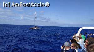 [P14] croaziera cu Sea Nature » foto by elenaadina
 - 
<span class="allrVoted glyphicon glyphicon-heart hidden" id="av1337774"></span>
<a class="m-l-10 hidden" id="sv1337774" onclick="voting_Foto_DelVot(,1337774,4289)" role="button">șterge vot <span class="glyphicon glyphicon-remove"></span></a>
<a id="v91337774" class=" c-red"  onclick="voting_Foto_SetVot(1337774)" role="button"><span class="glyphicon glyphicon-heart-empty"></span> <b>LIKE</b> = Votează poza</a> <img class="hidden"  id="f1337774W9" src="/imagini/loader.gif" border="0" /><span class="AjErrMes hidden" id="e1337774ErM"></span>