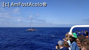 [P15] croaziera cu Sea Nature » foto by elenaadina
 - 
<span class="allrVoted glyphicon glyphicon-heart hidden" id="av1337775"></span>
<a class="m-l-10 hidden" id="sv1337775" onclick="voting_Foto_DelVot(,1337775,4289)" role="button">șterge vot <span class="glyphicon glyphicon-remove"></span></a>
<a id="v91337775" class=" c-red"  onclick="voting_Foto_SetVot(1337775)" role="button"><span class="glyphicon glyphicon-heart-empty"></span> <b>LIKE</b> = Votează poza</a> <img class="hidden"  id="f1337775W9" src="/imagini/loader.gif" border="0" /><span class="AjErrMes hidden" id="e1337775ErM"></span>