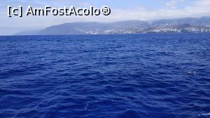 [P19] croaziera cu Sea Nature » foto by elenaadina
 - 
<span class="allrVoted glyphicon glyphicon-heart hidden" id="av1337779"></span>
<a class="m-l-10 hidden" id="sv1337779" onclick="voting_Foto_DelVot(,1337779,4289)" role="button">șterge vot <span class="glyphicon glyphicon-remove"></span></a>
<a id="v91337779" class=" c-red"  onclick="voting_Foto_SetVot(1337779)" role="button"><span class="glyphicon glyphicon-heart-empty"></span> <b>LIKE</b> = Votează poza</a> <img class="hidden"  id="f1337779W9" src="/imagini/loader.gif" border="0" /><span class="AjErrMes hidden" id="e1337779ErM"></span>