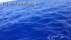 [P21] croaziera cu Sea Nature » foto by elenaadina
 - 
<span class="allrVoted glyphicon glyphicon-heart hidden" id="av1337781"></span>
<a class="m-l-10 hidden" id="sv1337781" onclick="voting_Foto_DelVot(,1337781,4289)" role="button">șterge vot <span class="glyphicon glyphicon-remove"></span></a>
<a id="v91337781" class=" c-red"  onclick="voting_Foto_SetVot(1337781)" role="button"><span class="glyphicon glyphicon-heart-empty"></span> <b>LIKE</b> = Votează poza</a> <img class="hidden"  id="f1337781W9" src="/imagini/loader.gif" border="0" /><span class="AjErrMes hidden" id="e1337781ErM"></span>