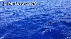 [P22] croaziera cu Sea Nature » foto by elenaadina
 - 
<span class="allrVoted glyphicon glyphicon-heart hidden" id="av1337782"></span>
<a class="m-l-10 hidden" id="sv1337782" onclick="voting_Foto_DelVot(,1337782,4289)" role="button">șterge vot <span class="glyphicon glyphicon-remove"></span></a>
<a id="v91337782" class=" c-red"  onclick="voting_Foto_SetVot(1337782)" role="button"><span class="glyphicon glyphicon-heart-empty"></span> <b>LIKE</b> = Votează poza</a> <img class="hidden"  id="f1337782W9" src="/imagini/loader.gif" border="0" /><span class="AjErrMes hidden" id="e1337782ErM"></span>