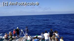 [P24] croaziera cu Sea Nature » foto by elenaadina
 - 
<span class="allrVoted glyphicon glyphicon-heart hidden" id="av1337784"></span>
<a class="m-l-10 hidden" id="sv1337784" onclick="voting_Foto_DelVot(,1337784,4289)" role="button">șterge vot <span class="glyphicon glyphicon-remove"></span></a>
<a id="v91337784" class=" c-red"  onclick="voting_Foto_SetVot(1337784)" role="button"><span class="glyphicon glyphicon-heart-empty"></span> <b>LIKE</b> = Votează poza</a> <img class="hidden"  id="f1337784W9" src="/imagini/loader.gif" border="0" /><span class="AjErrMes hidden" id="e1337784ErM"></span>