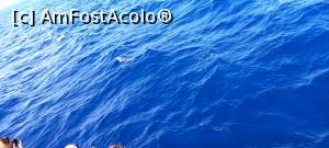 [P37]  -- <small>// FĂRĂ DESCRIERE</small> » foto by elenaadina
 - 
<span class="allrVoted glyphicon glyphicon-heart hidden" id="av1337797"></span>
<a class="m-l-10 hidden" id="sv1337797" onclick="voting_Foto_DelVot(,1337797,4289)" role="button">șterge vot <span class="glyphicon glyphicon-remove"></span></a>
<a id="v91337797" class=" c-red"  onclick="voting_Foto_SetVot(1337797)" role="button"><span class="glyphicon glyphicon-heart-empty"></span> <b>LIKE</b> = Votează poza</a> <img class="hidden"  id="f1337797W9" src="/imagini/loader.gif" border="0" /><span class="AjErrMes hidden" id="e1337797ErM"></span>