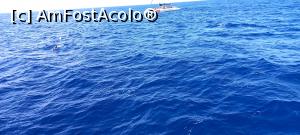 [P38]  -- <small>// FĂRĂ DESCRIERE</small> » foto by elenaadina
 - 
<span class="allrVoted glyphicon glyphicon-heart hidden" id="av1337798"></span>
<a class="m-l-10 hidden" id="sv1337798" onclick="voting_Foto_DelVot(,1337798,4289)" role="button">șterge vot <span class="glyphicon glyphicon-remove"></span></a>
<a id="v91337798" class=" c-red"  onclick="voting_Foto_SetVot(1337798)" role="button"><span class="glyphicon glyphicon-heart-empty"></span> <b>LIKE</b> = Votează poza</a> <img class="hidden"  id="f1337798W9" src="/imagini/loader.gif" border="0" /><span class="AjErrMes hidden" id="e1337798ErM"></span>