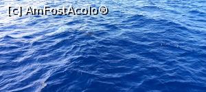 [P40]  -- <small>// FĂRĂ DESCRIERE</small> » foto by elenaadina
 - 
<span class="allrVoted glyphicon glyphicon-heart hidden" id="av1337800"></span>
<a class="m-l-10 hidden" id="sv1337800" onclick="voting_Foto_DelVot(,1337800,4289)" role="button">șterge vot <span class="glyphicon glyphicon-remove"></span></a>
<a id="v91337800" class=" c-red"  onclick="voting_Foto_SetVot(1337800)" role="button"><span class="glyphicon glyphicon-heart-empty"></span> <b>LIKE</b> = Votează poza</a> <img class="hidden"  id="f1337800W9" src="/imagini/loader.gif" border="0" /><span class="AjErrMes hidden" id="e1337800ErM"></span>