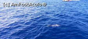 [P41]  -- <small>// FĂRĂ DESCRIERE</small> » foto by elenaadina
 - 
<span class="allrVoted glyphicon glyphicon-heart hidden" id="av1337801"></span>
<a class="m-l-10 hidden" id="sv1337801" onclick="voting_Foto_DelVot(,1337801,4289)" role="button">șterge vot <span class="glyphicon glyphicon-remove"></span></a>
<a id="v91337801" class=" c-red"  onclick="voting_Foto_SetVot(1337801)" role="button"><span class="glyphicon glyphicon-heart-empty"></span> <b>LIKE</b> = Votează poza</a> <img class="hidden"  id="f1337801W9" src="/imagini/loader.gif" border="0" /><span class="AjErrMes hidden" id="e1337801ErM"></span>