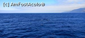 [P46]  -- <small>// FĂRĂ DESCRIERE</small> » foto by elenaadina
 - 
<span class="allrVoted glyphicon glyphicon-heart hidden" id="av1337806"></span>
<a class="m-l-10 hidden" id="sv1337806" onclick="voting_Foto_DelVot(,1337806,4289)" role="button">șterge vot <span class="glyphicon glyphicon-remove"></span></a>
<a id="v91337806" class=" c-red"  onclick="voting_Foto_SetVot(1337806)" role="button"><span class="glyphicon glyphicon-heart-empty"></span> <b>LIKE</b> = Votează poza</a> <img class="hidden"  id="f1337806W9" src="/imagini/loader.gif" border="0" /><span class="AjErrMes hidden" id="e1337806ErM"></span>