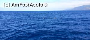 [P48]  -- <small>// FĂRĂ DESCRIERE</small> » foto by elenaadina
 - 
<span class="allrVoted glyphicon glyphicon-heart hidden" id="av1337808"></span>
<a class="m-l-10 hidden" id="sv1337808" onclick="voting_Foto_DelVot(,1337808,4289)" role="button">șterge vot <span class="glyphicon glyphicon-remove"></span></a>
<a id="v91337808" class=" c-red"  onclick="voting_Foto_SetVot(1337808)" role="button"><span class="glyphicon glyphicon-heart-empty"></span> <b>LIKE</b> = Votează poza</a> <img class="hidden"  id="f1337808W9" src="/imagini/loader.gif" border="0" /><span class="AjErrMes hidden" id="e1337808ErM"></span>