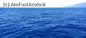 [P49]  -- <small>// FĂRĂ DESCRIERE</small> » foto by elenaadina
 - 
<span class="allrVoted glyphicon glyphicon-heart hidden" id="av1337809"></span>
<a class="m-l-10 hidden" id="sv1337809" onclick="voting_Foto_DelVot(,1337809,4289)" role="button">șterge vot <span class="glyphicon glyphicon-remove"></span></a>
<a id="v91337809" class=" c-red"  onclick="voting_Foto_SetVot(1337809)" role="button"><span class="glyphicon glyphicon-heart-empty"></span> <b>LIKE</b> = Votează poza</a> <img class="hidden"  id="f1337809W9" src="/imagini/loader.gif" border="0" /><span class="AjErrMes hidden" id="e1337809ErM"></span>