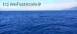 [P50]  -- <small>// FĂRĂ DESCRIERE</small> » foto by elenaadina
 - 
<span class="allrVoted glyphicon glyphicon-heart hidden" id="av1337810"></span>
<a class="m-l-10 hidden" id="sv1337810" onclick="voting_Foto_DelVot(,1337810,4289)" role="button">șterge vot <span class="glyphicon glyphicon-remove"></span></a>
<a id="v91337810" class=" c-red"  onclick="voting_Foto_SetVot(1337810)" role="button"><span class="glyphicon glyphicon-heart-empty"></span> <b>LIKE</b> = Votează poza</a> <img class="hidden"  id="f1337810W9" src="/imagini/loader.gif" border="0" /><span class="AjErrMes hidden" id="e1337810ErM"></span>