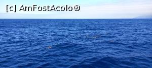 [P51]  -- <small>// FĂRĂ DESCRIERE</small> » foto by elenaadina
 - 
<span class="allrVoted glyphicon glyphicon-heart hidden" id="av1337811"></span>
<a class="m-l-10 hidden" id="sv1337811" onclick="voting_Foto_DelVot(,1337811,4289)" role="button">șterge vot <span class="glyphicon glyphicon-remove"></span></a>
<a id="v91337811" class=" c-red"  onclick="voting_Foto_SetVot(1337811)" role="button"><span class="glyphicon glyphicon-heart-empty"></span> <b>LIKE</b> = Votează poza</a> <img class="hidden"  id="f1337811W9" src="/imagini/loader.gif" border="0" /><span class="AjErrMes hidden" id="e1337811ErM"></span>