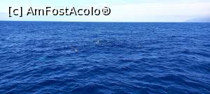 [P53]  -- <small>// FĂRĂ DESCRIERE</small> » foto by elenaadina
 - 
<span class="allrVoted glyphicon glyphicon-heart hidden" id="av1337813"></span>
<a class="m-l-10 hidden" id="sv1337813" onclick="voting_Foto_DelVot(,1337813,4289)" role="button">șterge vot <span class="glyphicon glyphicon-remove"></span></a>
<a id="v91337813" class=" c-red"  onclick="voting_Foto_SetVot(1337813)" role="button"><span class="glyphicon glyphicon-heart-empty"></span> <b>LIKE</b> = Votează poza</a> <img class="hidden"  id="f1337813W9" src="/imagini/loader.gif" border="0" /><span class="AjErrMes hidden" id="e1337813ErM"></span>