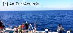 [P56]  -- <small>// FĂRĂ DESCRIERE</small> » foto by elenaadina
 - 
<span class="allrVoted glyphicon glyphicon-heart hidden" id="av1337816"></span>
<a class="m-l-10 hidden" id="sv1337816" onclick="voting_Foto_DelVot(,1337816,4289)" role="button">șterge vot <span class="glyphicon glyphicon-remove"></span></a>
<a id="v91337816" class=" c-red"  onclick="voting_Foto_SetVot(1337816)" role="button"><span class="glyphicon glyphicon-heart-empty"></span> <b>LIKE</b> = Votează poza</a> <img class="hidden"  id="f1337816W9" src="/imagini/loader.gif" border="0" /><span class="AjErrMes hidden" id="e1337816ErM"></span>