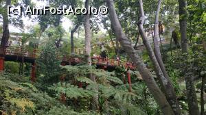 [P13] Monte Palace Garden » foto by elenaadina
 - 
<span class="allrVoted glyphicon glyphicon-heart hidden" id="av1337964"></span>
<a class="m-l-10 hidden" id="sv1337964" onclick="voting_Foto_DelVot(,1337964,4289)" role="button">șterge vot <span class="glyphicon glyphicon-remove"></span></a>
<a id="v91337964" class=" c-red"  onclick="voting_Foto_SetVot(1337964)" role="button"><span class="glyphicon glyphicon-heart-empty"></span> <b>LIKE</b> = Votează poza</a> <img class="hidden"  id="f1337964W9" src="/imagini/loader.gif" border="0" /><span class="AjErrMes hidden" id="e1337964ErM"></span>