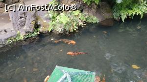 [P15] Monte Palace Garden » foto by elenaadina
 - 
<span class="allrVoted glyphicon glyphicon-heart hidden" id="av1337966"></span>
<a class="m-l-10 hidden" id="sv1337966" onclick="voting_Foto_DelVot(,1337966,4289)" role="button">șterge vot <span class="glyphicon glyphicon-remove"></span></a>
<a id="v91337966" class=" c-red"  onclick="voting_Foto_SetVot(1337966)" role="button"><span class="glyphicon glyphicon-heart-empty"></span> <b>LIKE</b> = Votează poza</a> <img class="hidden"  id="f1337966W9" src="/imagini/loader.gif" border="0" /><span class="AjErrMes hidden" id="e1337966ErM"></span>