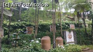 [P18] Monte Palace Garden » foto by elenaadina
 - 
<span class="allrVoted glyphicon glyphicon-heart hidden" id="av1337969"></span>
<a class="m-l-10 hidden" id="sv1337969" onclick="voting_Foto_DelVot(,1337969,4289)" role="button">șterge vot <span class="glyphicon glyphicon-remove"></span></a>
<a id="v91337969" class=" c-red"  onclick="voting_Foto_SetVot(1337969)" role="button"><span class="glyphicon glyphicon-heart-empty"></span> <b>LIKE</b> = Votează poza</a> <img class="hidden"  id="f1337969W9" src="/imagini/loader.gif" border="0" /><span class="AjErrMes hidden" id="e1337969ErM"></span>