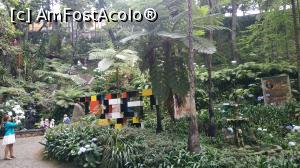 [P19] Monte Palace Garden » foto by elenaadina
 - 
<span class="allrVoted glyphicon glyphicon-heart hidden" id="av1337970"></span>
<a class="m-l-10 hidden" id="sv1337970" onclick="voting_Foto_DelVot(,1337970,4289)" role="button">șterge vot <span class="glyphicon glyphicon-remove"></span></a>
<a id="v91337970" class=" c-red"  onclick="voting_Foto_SetVot(1337970)" role="button"><span class="glyphicon glyphicon-heart-empty"></span> <b>LIKE</b> = Votează poza</a> <img class="hidden"  id="f1337970W9" src="/imagini/loader.gif" border="0" /><span class="AjErrMes hidden" id="e1337970ErM"></span>