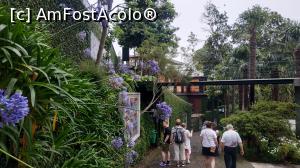 [P02] Monte Palace Garden » foto by elenaadina
 - 
<span class="allrVoted glyphicon glyphicon-heart hidden" id="av1337953"></span>
<a class="m-l-10 hidden" id="sv1337953" onclick="voting_Foto_DelVot(,1337953,4289)" role="button">șterge vot <span class="glyphicon glyphicon-remove"></span></a>
<a id="v91337953" class=" c-red"  onclick="voting_Foto_SetVot(1337953)" role="button"><span class="glyphicon glyphicon-heart-empty"></span> <b>LIKE</b> = Votează poza</a> <img class="hidden"  id="f1337953W9" src="/imagini/loader.gif" border="0" /><span class="AjErrMes hidden" id="e1337953ErM"></span>