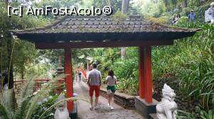 [P20] Monte Palace Garden » foto by elenaadina
 - 
<span class="allrVoted glyphicon glyphicon-heart hidden" id="av1337971"></span>
<a class="m-l-10 hidden" id="sv1337971" onclick="voting_Foto_DelVot(,1337971,4289)" role="button">șterge vot <span class="glyphicon glyphicon-remove"></span></a>
<a id="v91337971" class=" c-red"  onclick="voting_Foto_SetVot(1337971)" role="button"><span class="glyphicon glyphicon-heart-empty"></span> <b>LIKE</b> = Votează poza</a> <img class="hidden"  id="f1337971W9" src="/imagini/loader.gif" border="0" /><span class="AjErrMes hidden" id="e1337971ErM"></span>