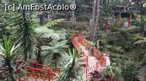 [P23] Monte Palace Garden » foto by elenaadina
 - 
<span class="allrVoted glyphicon glyphicon-heart hidden" id="av1337974"></span>
<a class="m-l-10 hidden" id="sv1337974" onclick="voting_Foto_DelVot(,1337974,4289)" role="button">șterge vot <span class="glyphicon glyphicon-remove"></span></a>
<a id="v91337974" class=" c-red"  onclick="voting_Foto_SetVot(1337974)" role="button"><span class="glyphicon glyphicon-heart-empty"></span> <b>LIKE</b> = Votează poza</a> <img class="hidden"  id="f1337974W9" src="/imagini/loader.gif" border="0" /><span class="AjErrMes hidden" id="e1337974ErM"></span>